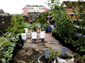 Community Garden